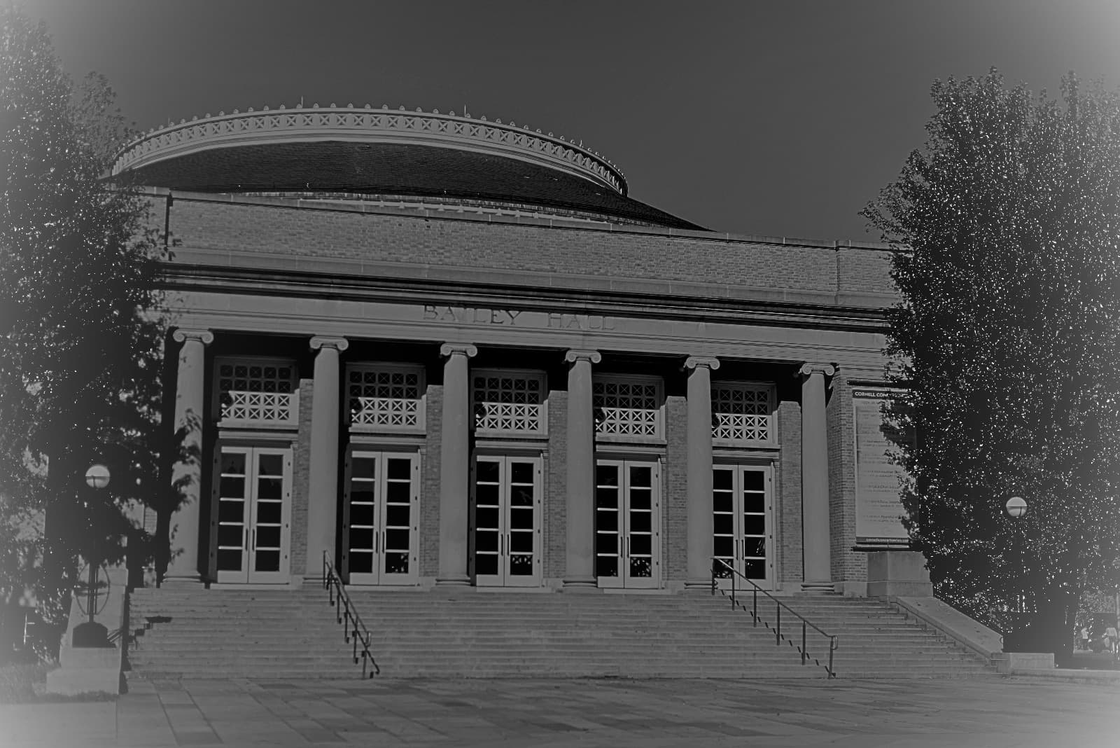 Shame On You, Cornell